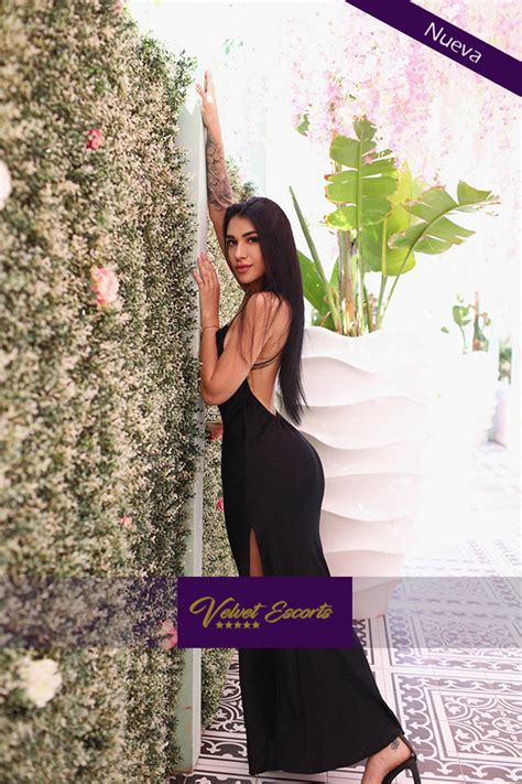 shemale escort marbella|Lina 